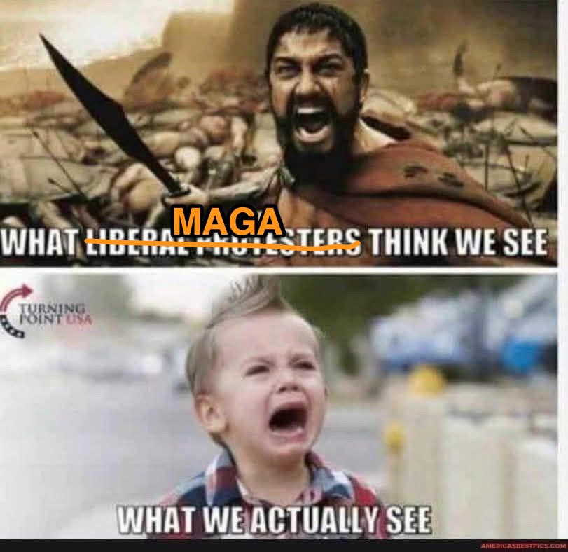 what_maga_think_we_see