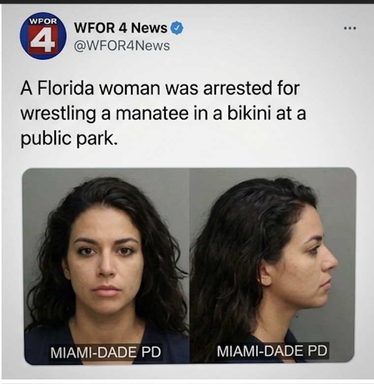 wrestling-manatee-in-a-bikini