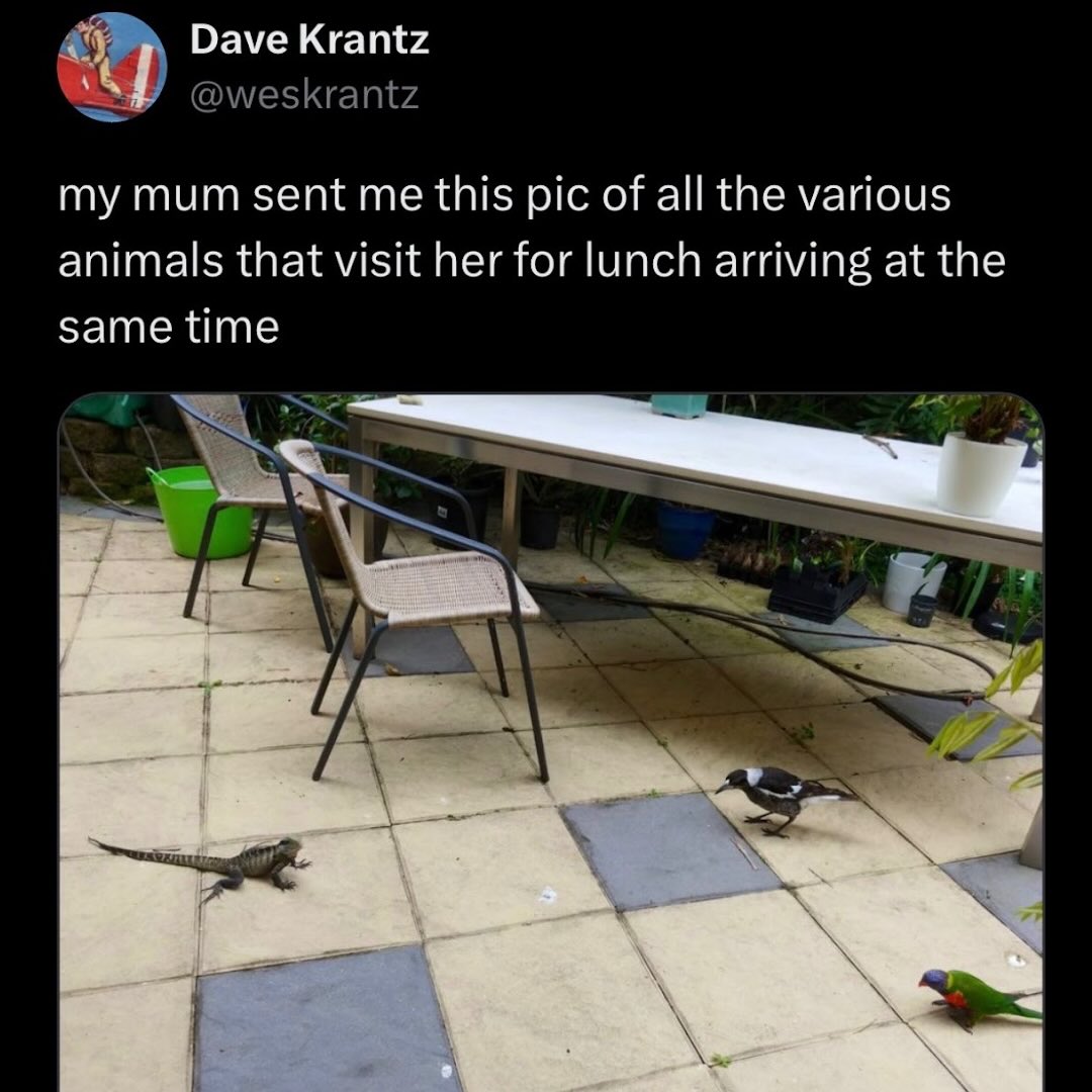 636326887_18311254294261452_1251380295416667926_n