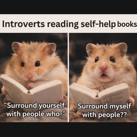 646886615_924487649992464_4819998448296888757_n