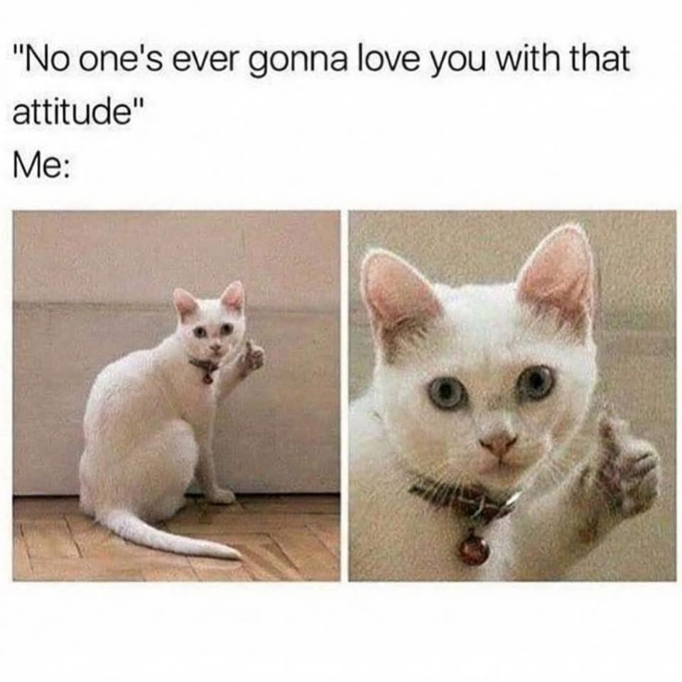 647046075_10164997899065815_8748167483518381914_n