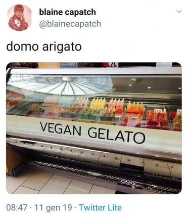 647186446_3631790503640153_7163374637025473227_n