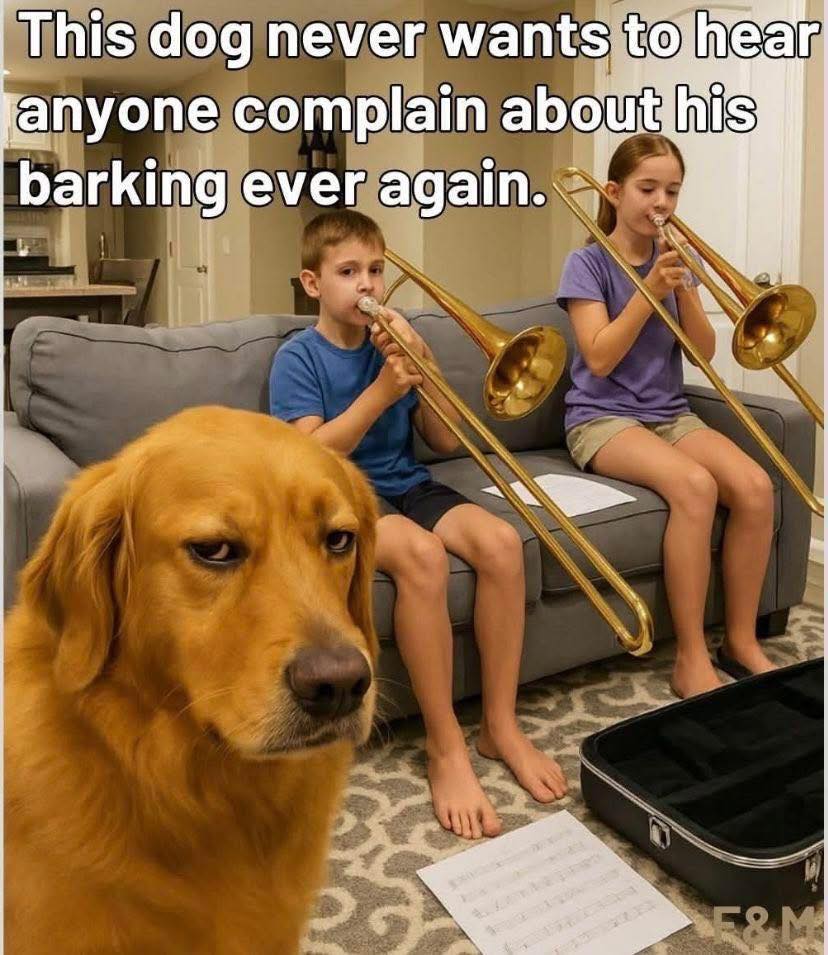 651167006_10231575365183415_1364522553922395735_n