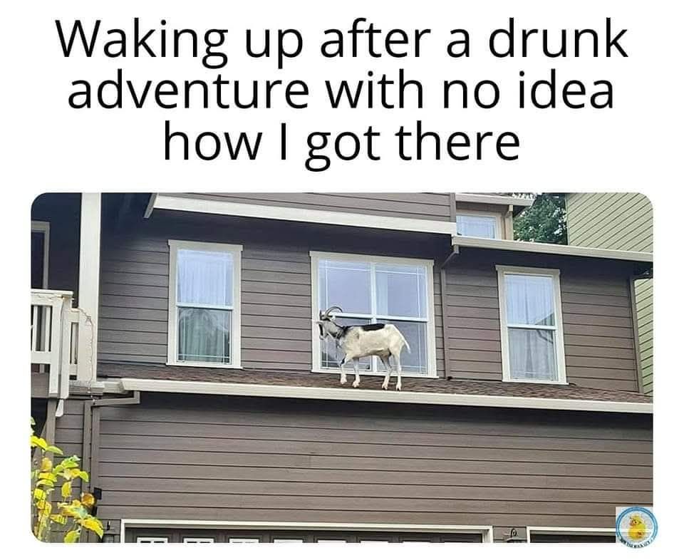 651199810_951987217510991_1982218202935132262_n