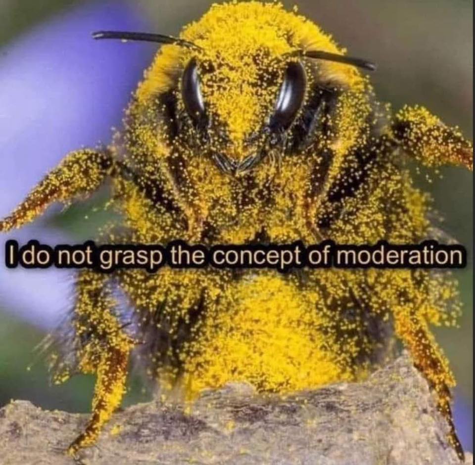 651241722_10232257875213642_2978393023881356629_n