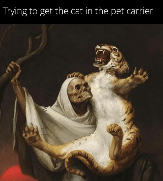 653397408_10168687000668125_2482281698025295792_n