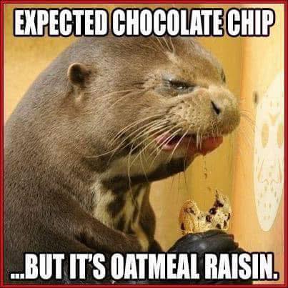 653813184_10237997438947873_6143813637590221660_n