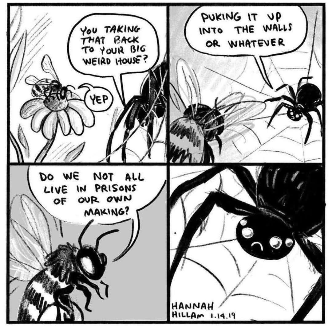 657211817_4504654256513824_3598796977064313402_n