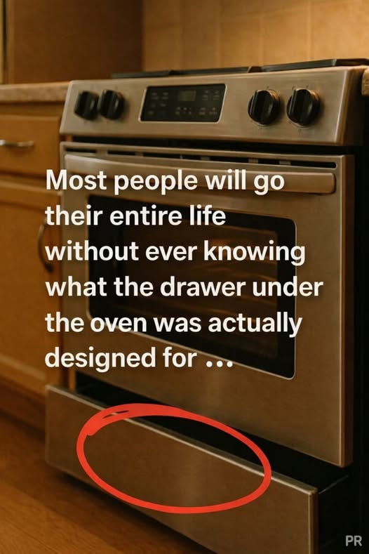 659593757_1359535742874946_7380203715055043428_n