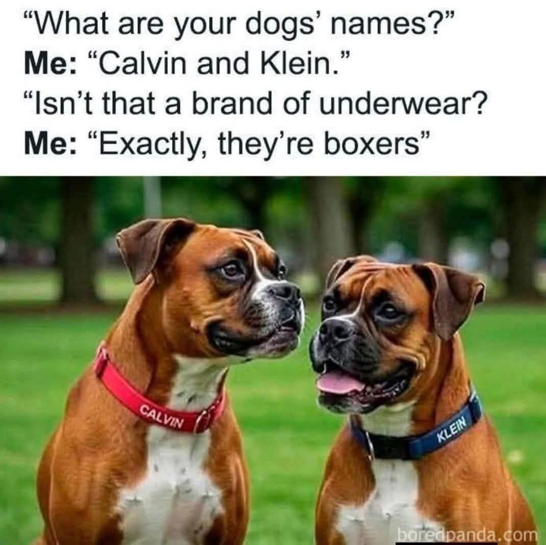 boxers