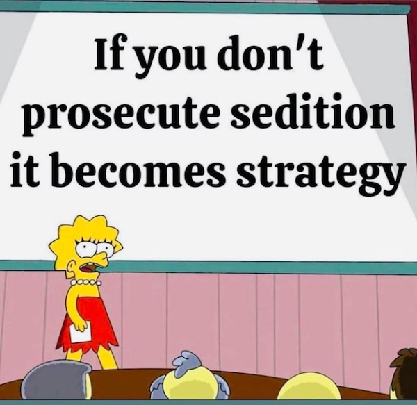 if-you-dont-prosecute-sedition-it-becomes-strategy
