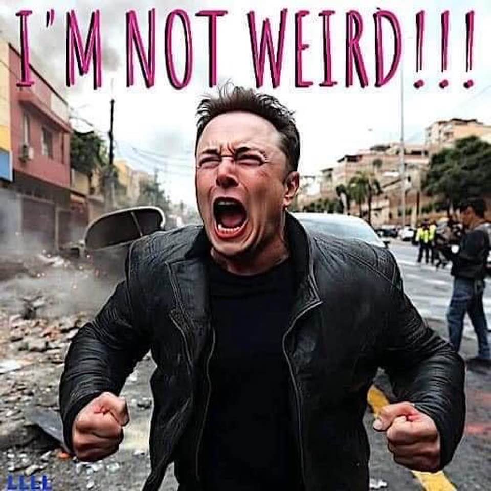 im-not-weird-elon