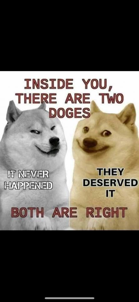 inside-you-are-two-doges