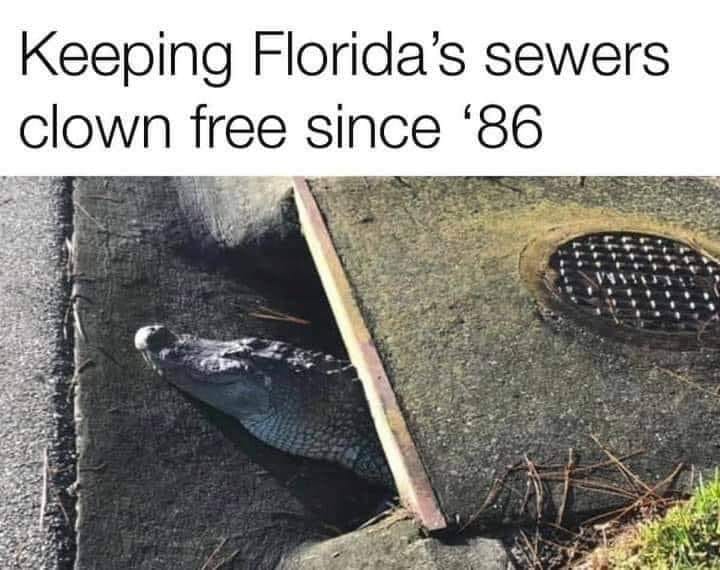 keeping-floridas-sewers-clown-free