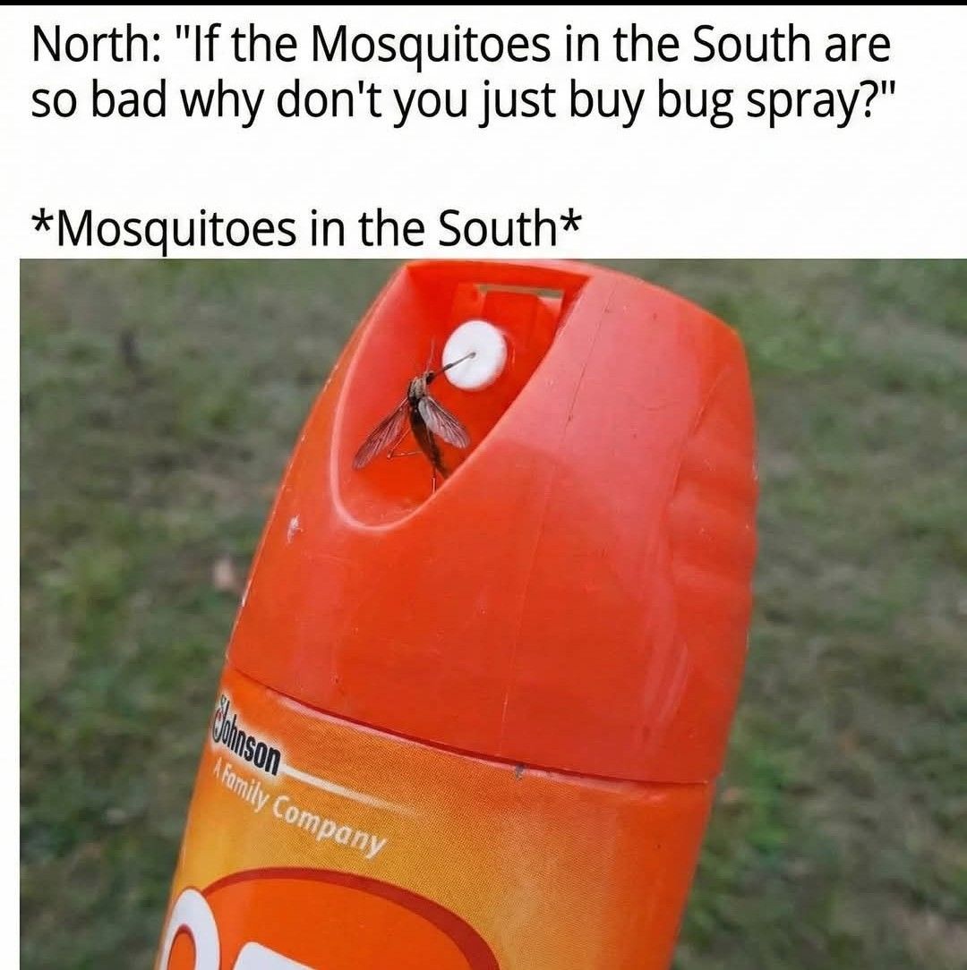 mosquitos-in-the-south