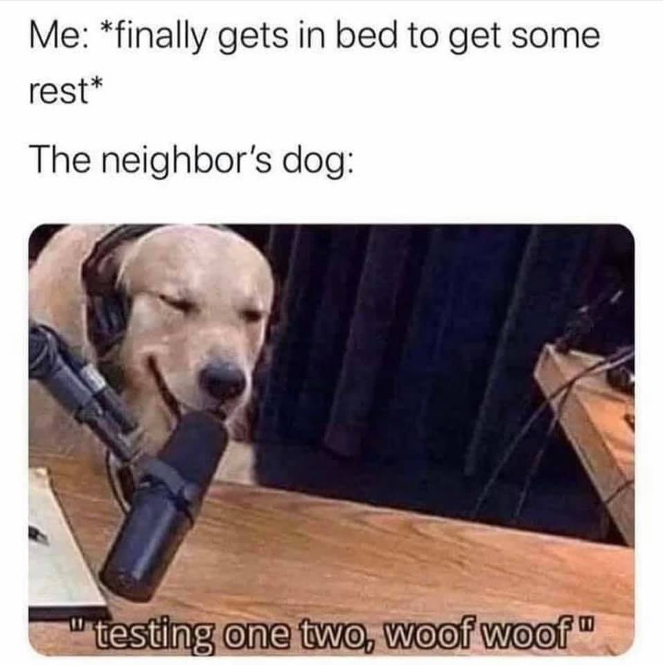 neighbors-dog