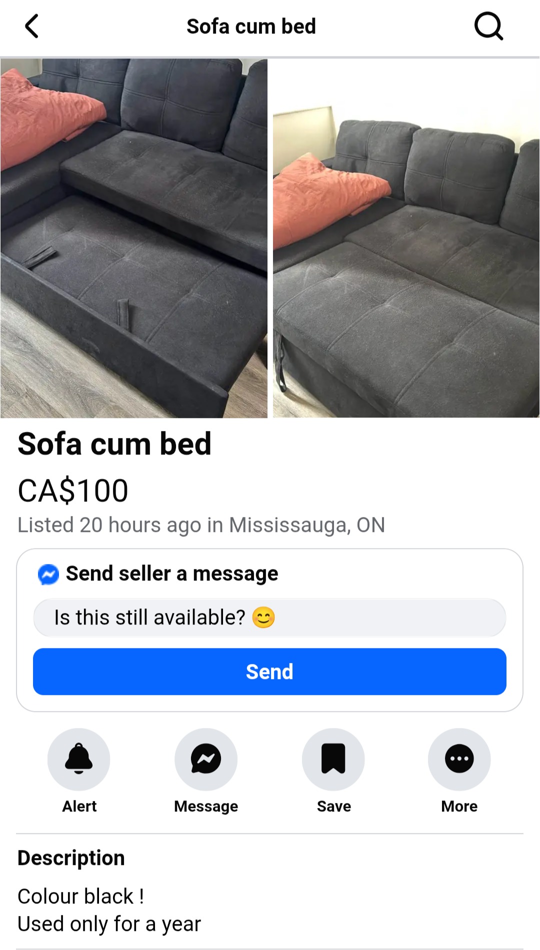 sofa-cum-bed