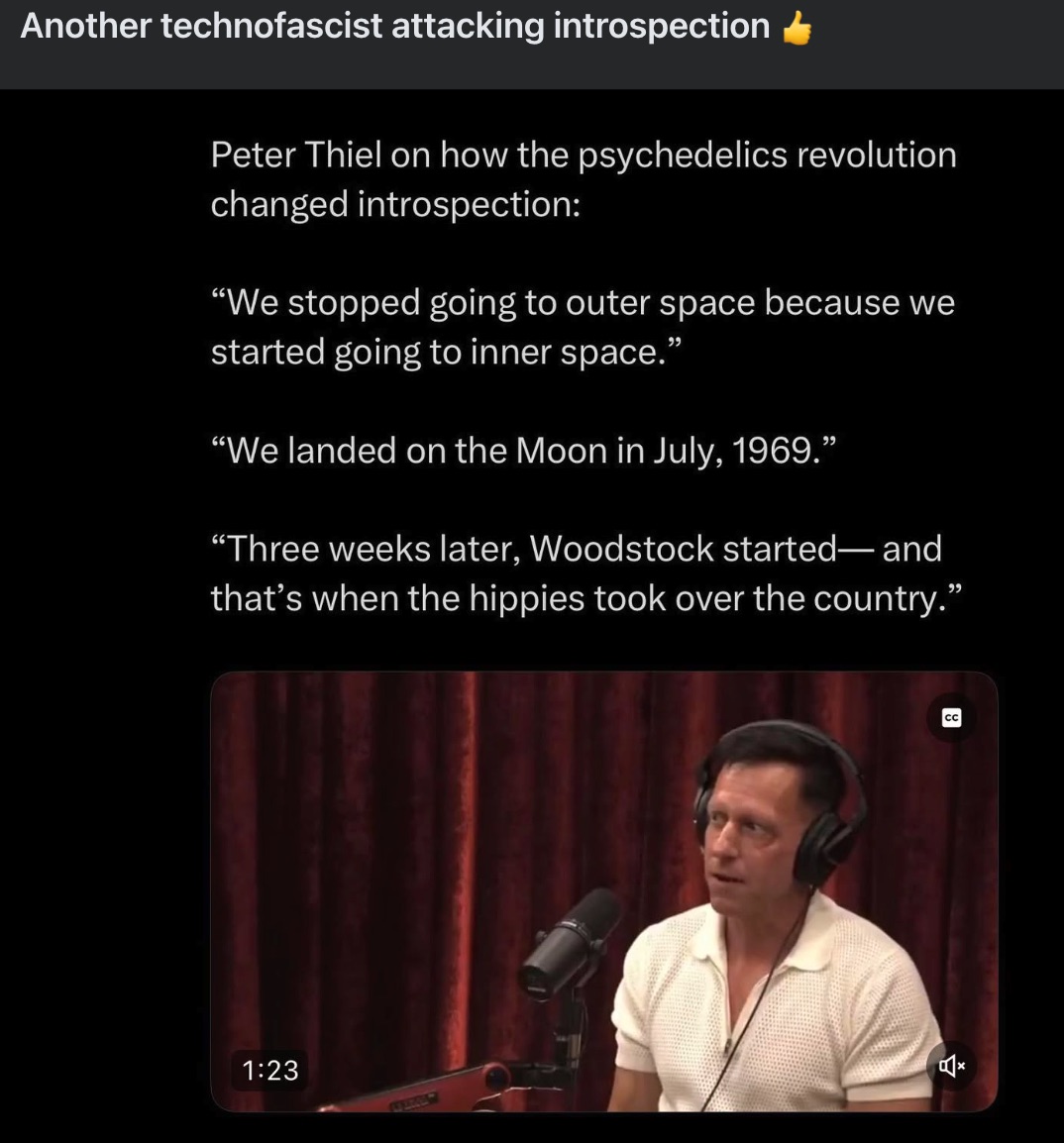 thiel_attacks_introspection