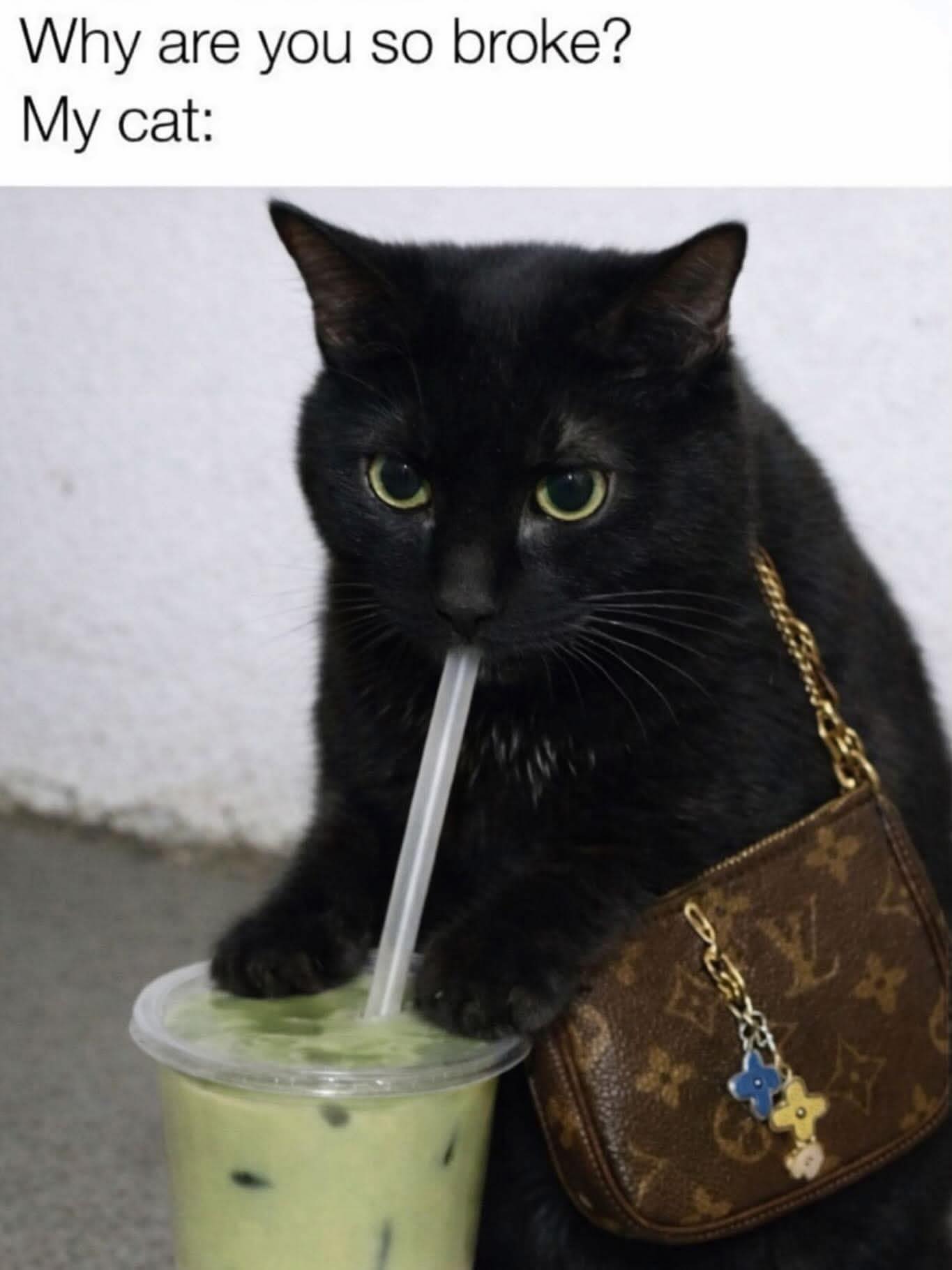 why-are-you-so-broke