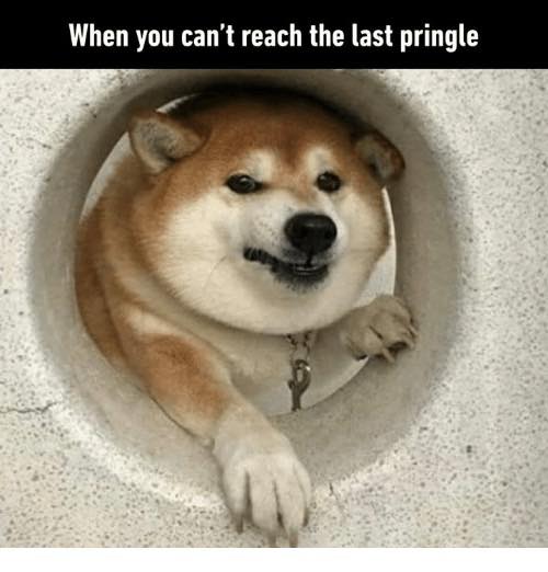 653316661_10173997725905438_3644036713972482391_n