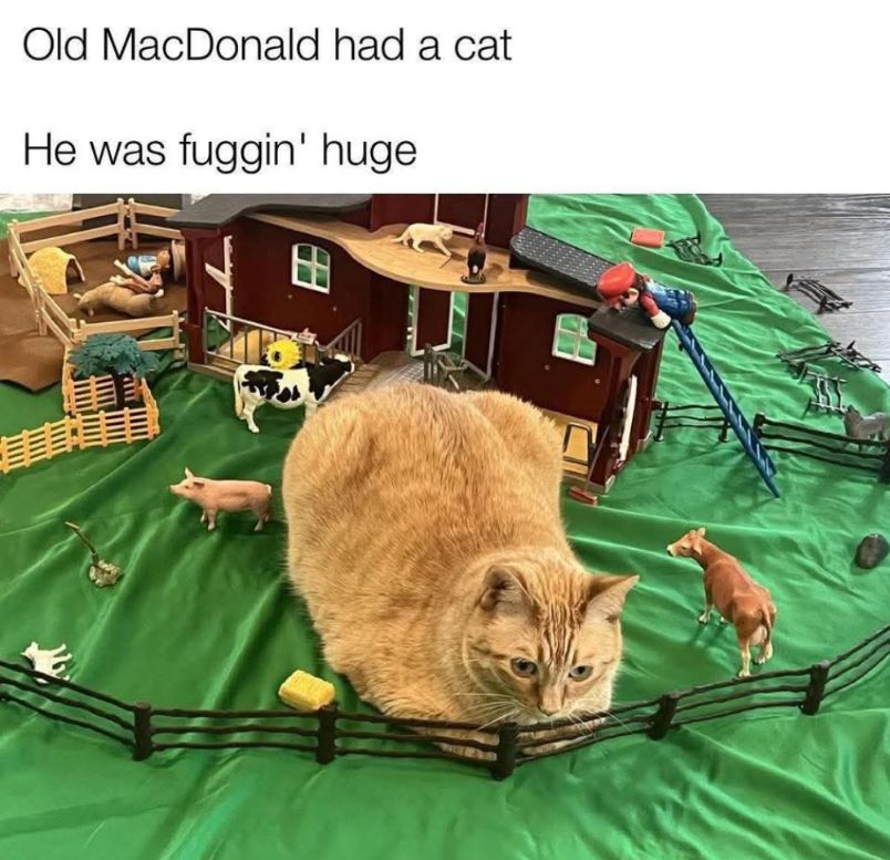 654207652_10232847166709516_5670200986172679686_n