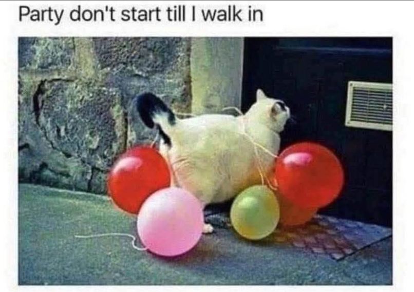 654273821_10232847245311481_8071797429549756727_n