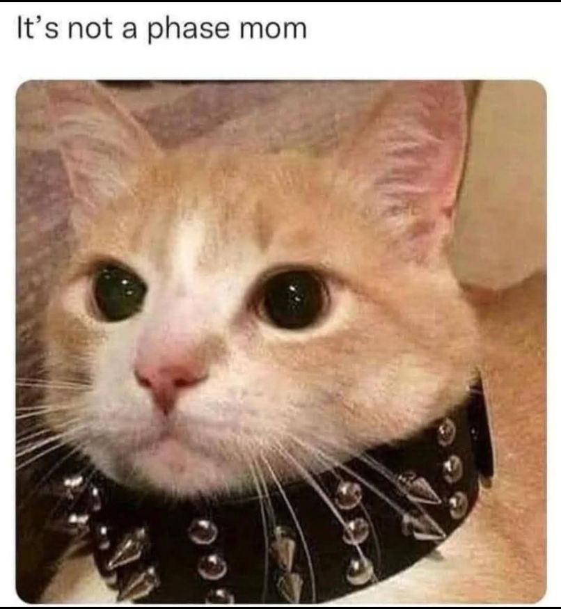 655654188_10232847259791843_2056109640034770906_n