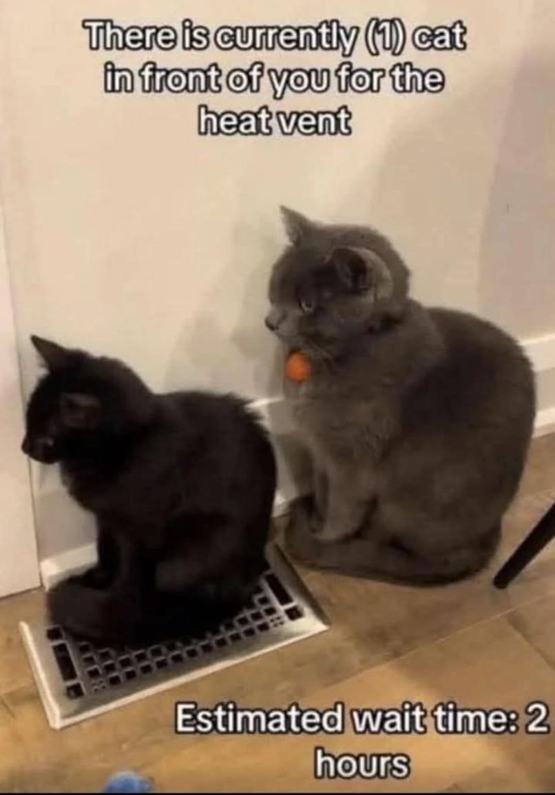 655740803_10232847243111426_7326994047843191131_n