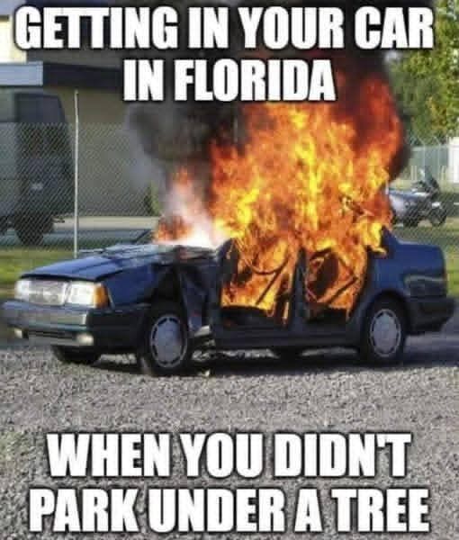 659798624_10231848847992349_8031639757714506052_n-1