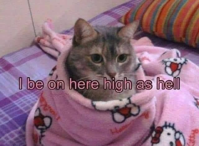 660069734_1628219331637216_4060434721326888270_n