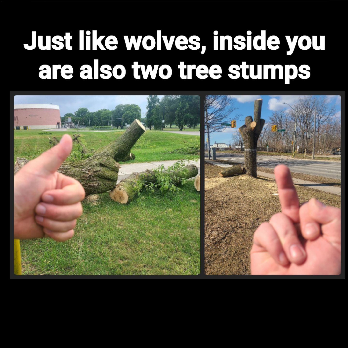 660328007_10164681837080798_5425270190110092468_n