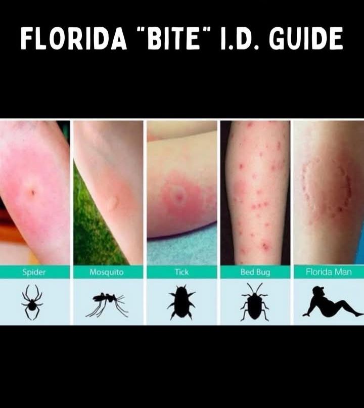 661375790_936431112312201_3607369242220784415_n-1