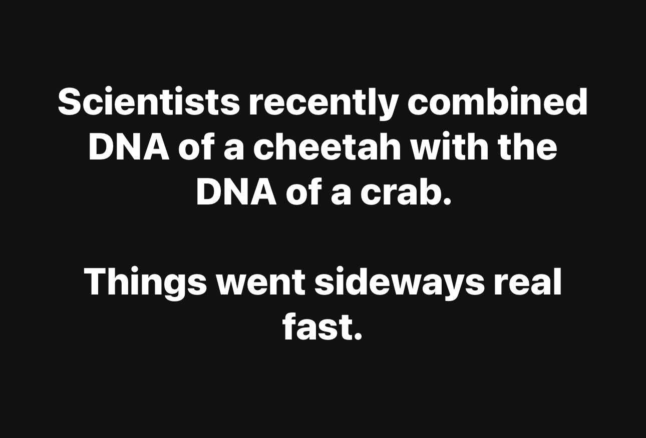 661710888_10244678484563750_1036271706926736770_n-1