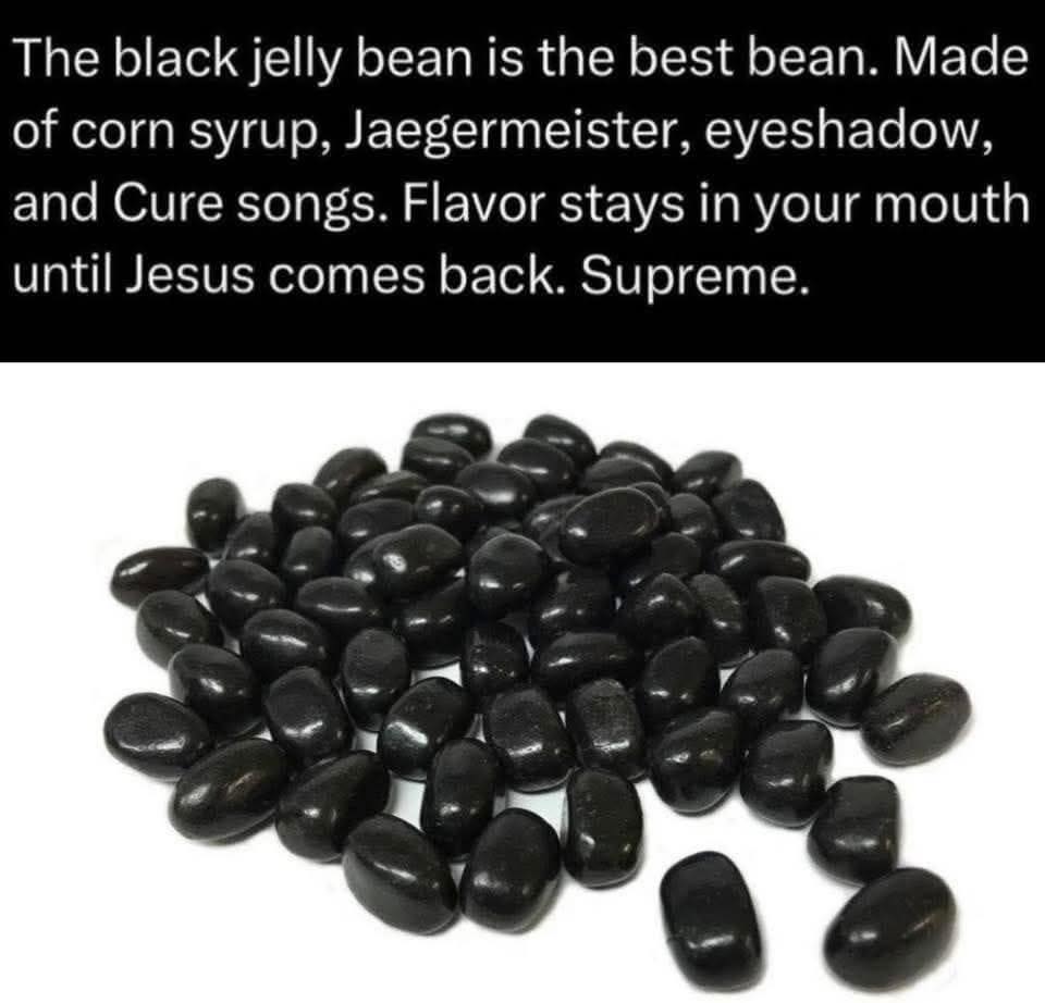 663215492_122177382230388043_1750499660473708361_n-1