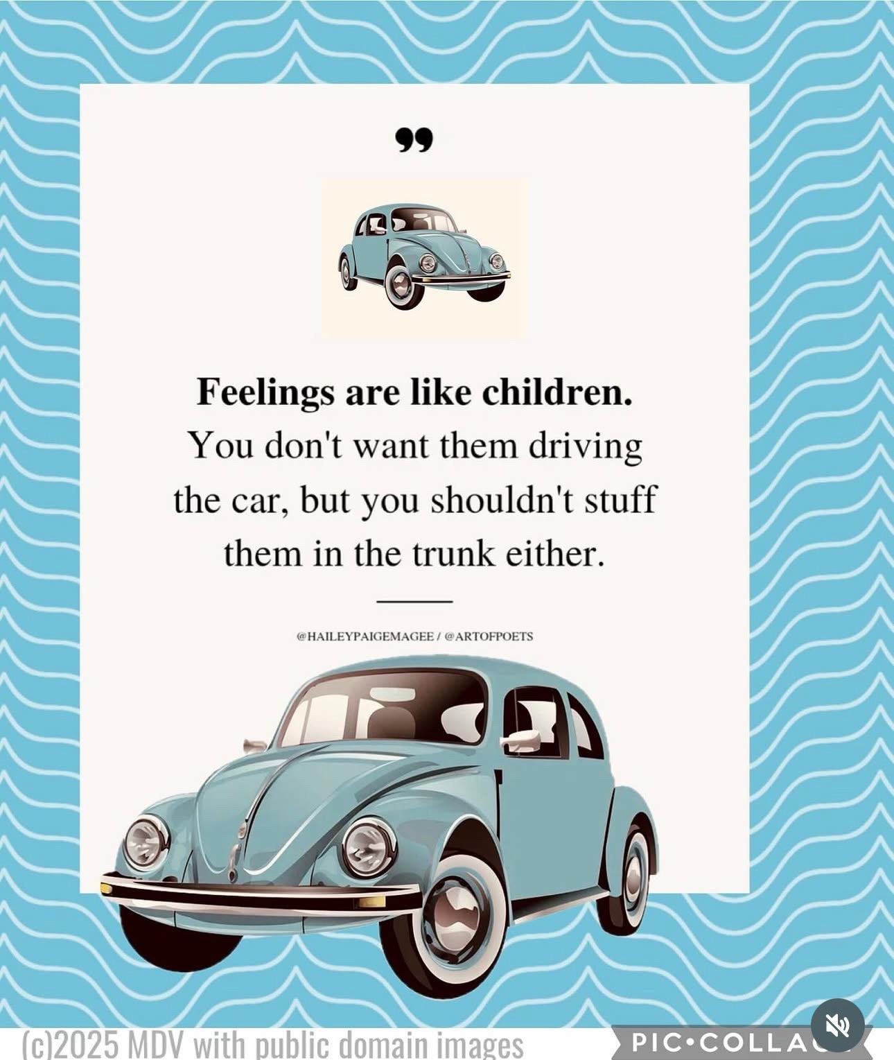 663303435_122278692974219739_2957396841909299573_n-1