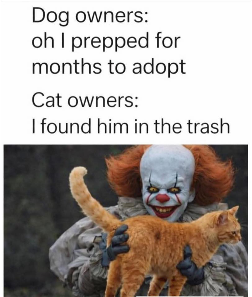 663373597_26502796939351086_6839477015468056199_n-1