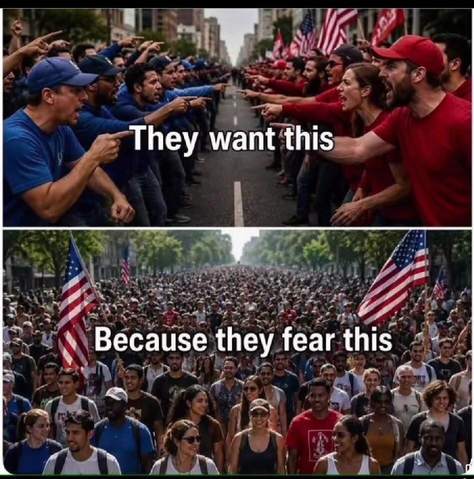 1780005778903