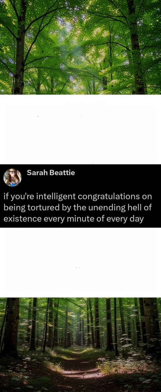 662740005_1264107129233431_7646857947039119541_n
