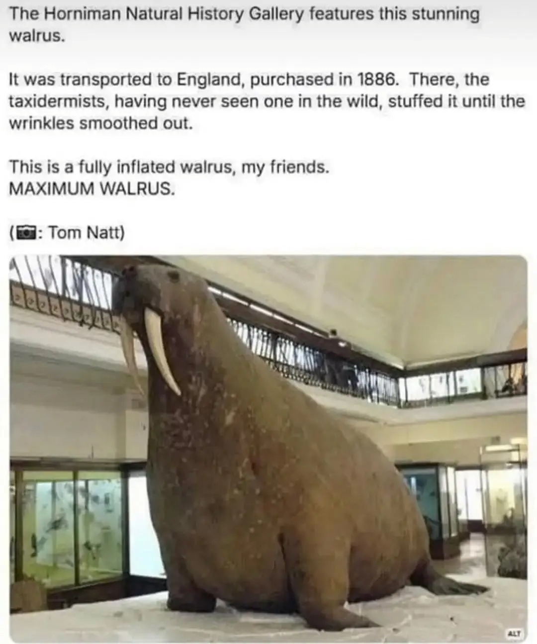 686360787_4412718029050844_409873534910453380_n