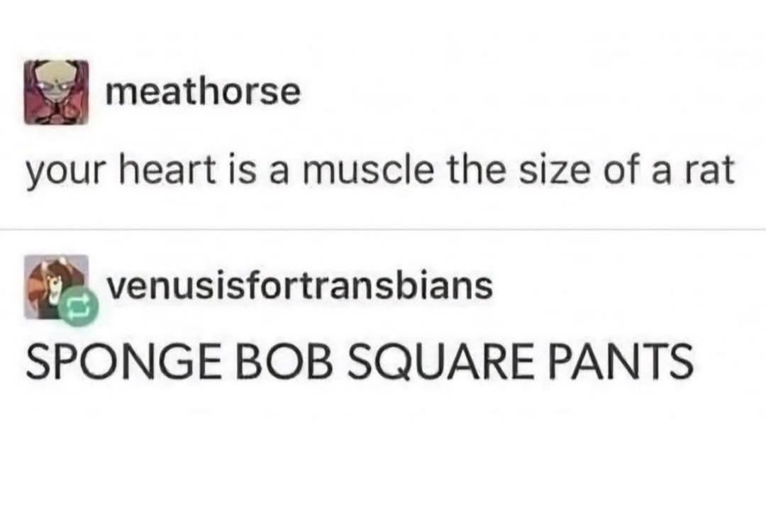 694717952_1487315416205754_5066529570775098652_n