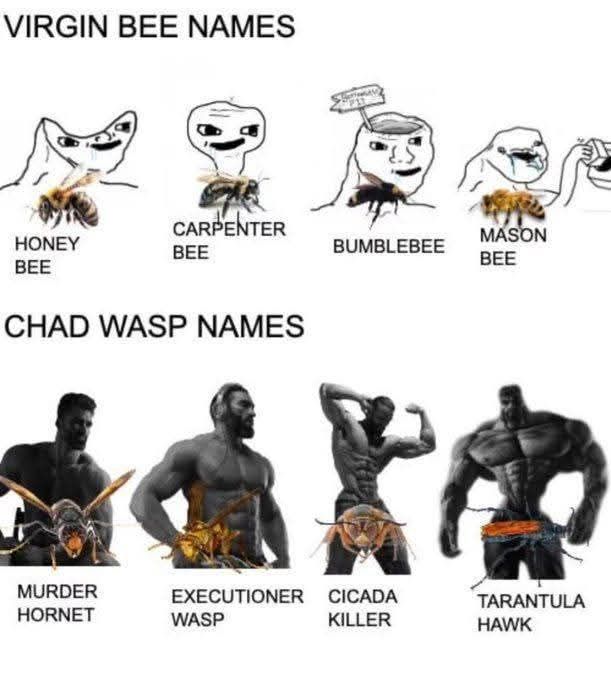695858765_3373527936153752_8069121418816128382_n