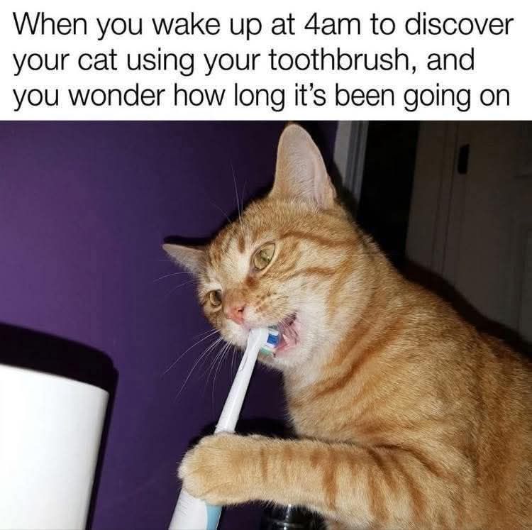 697777817_35553637104283098_2413023079586606174_n