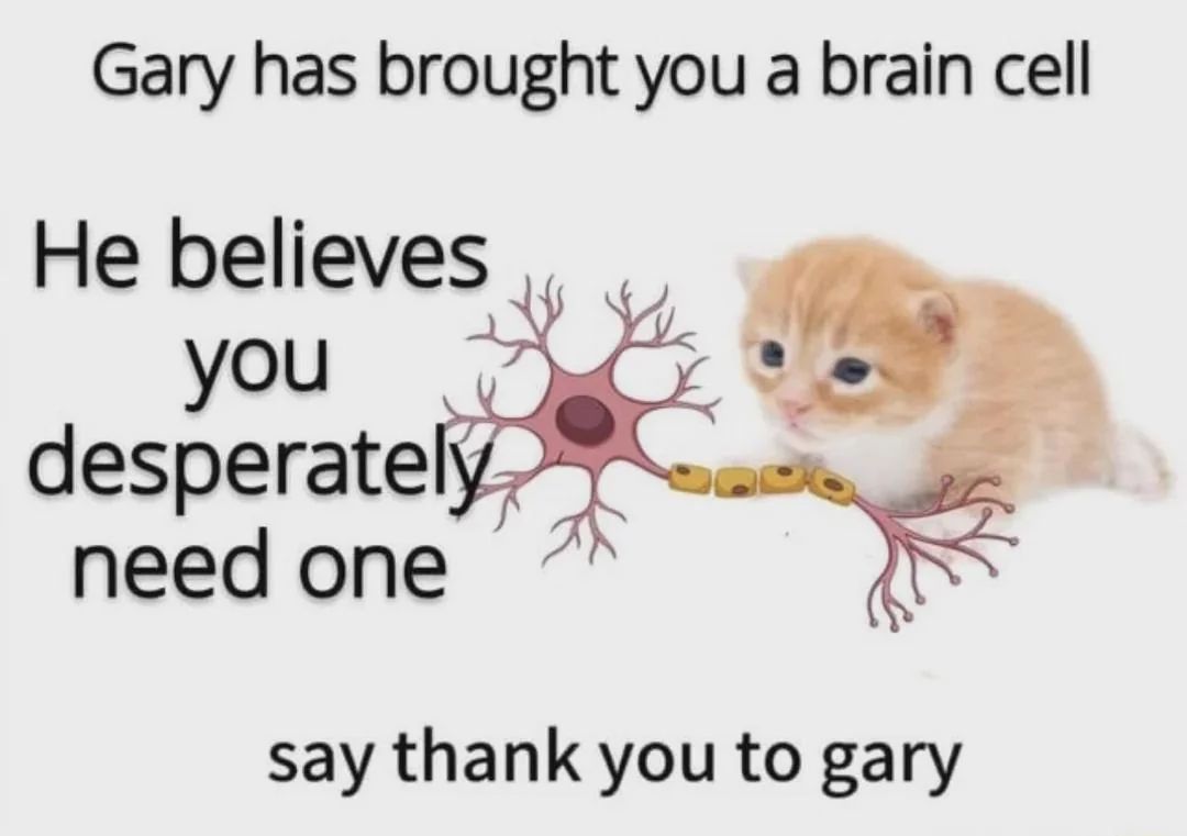698706273_10234050084098516_5095303661422804905_n