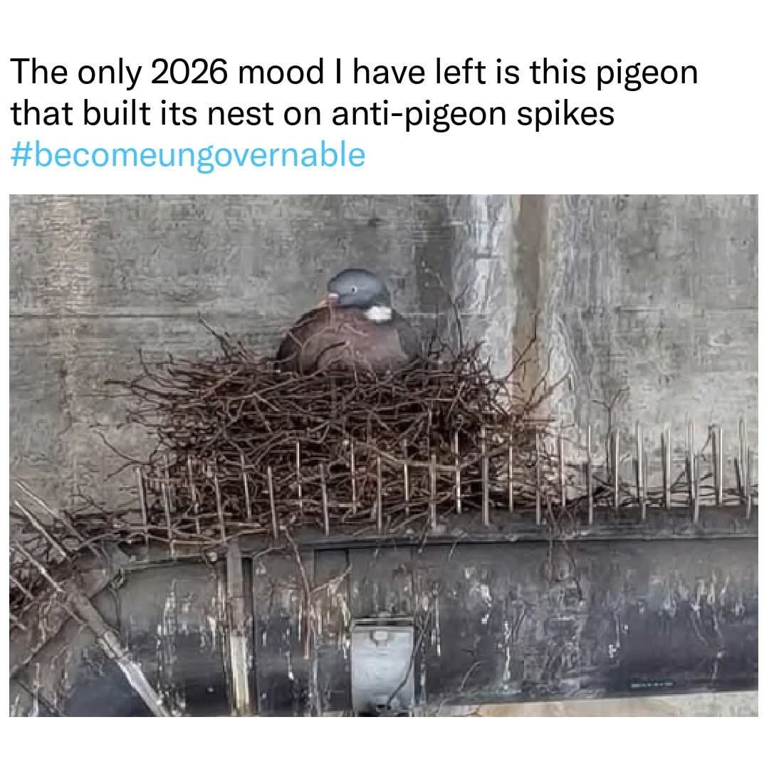 707491441_2445951925850463_8778135149193330072_n