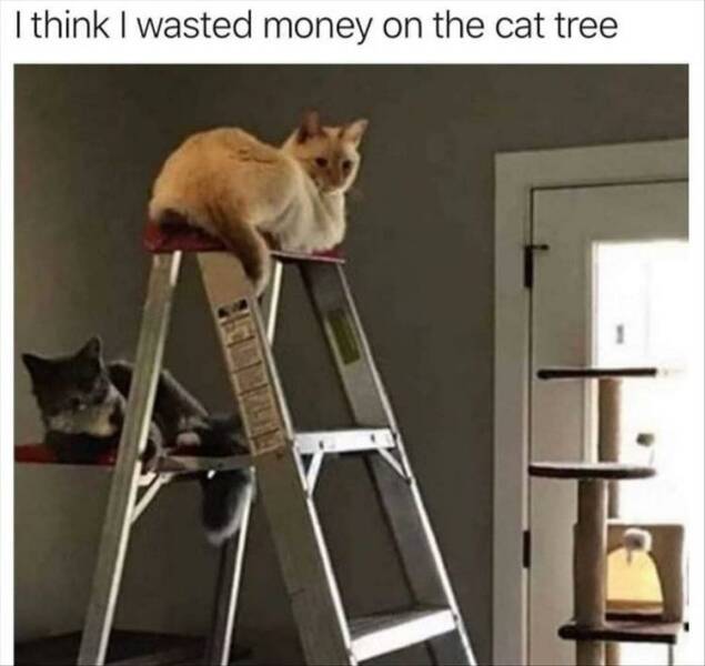 1712668697_fn_13