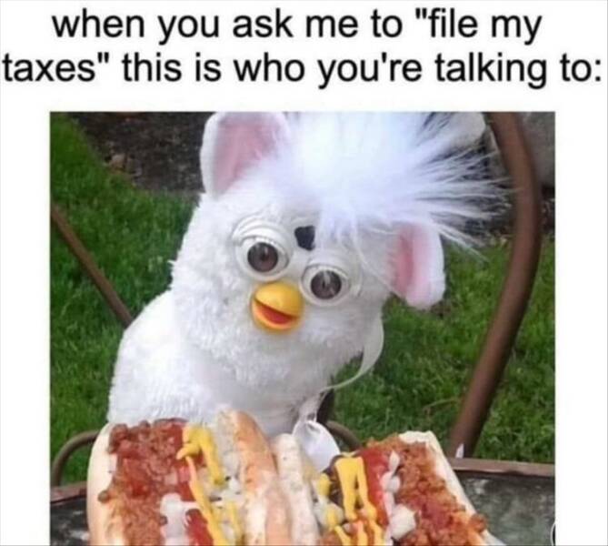 1712668726_fn_19