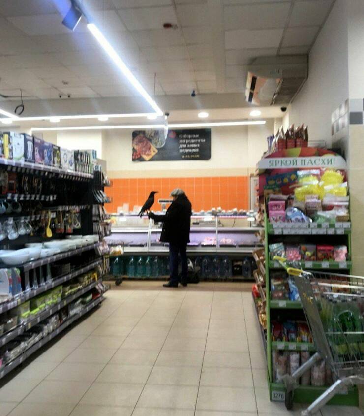 1712668741_mn_34