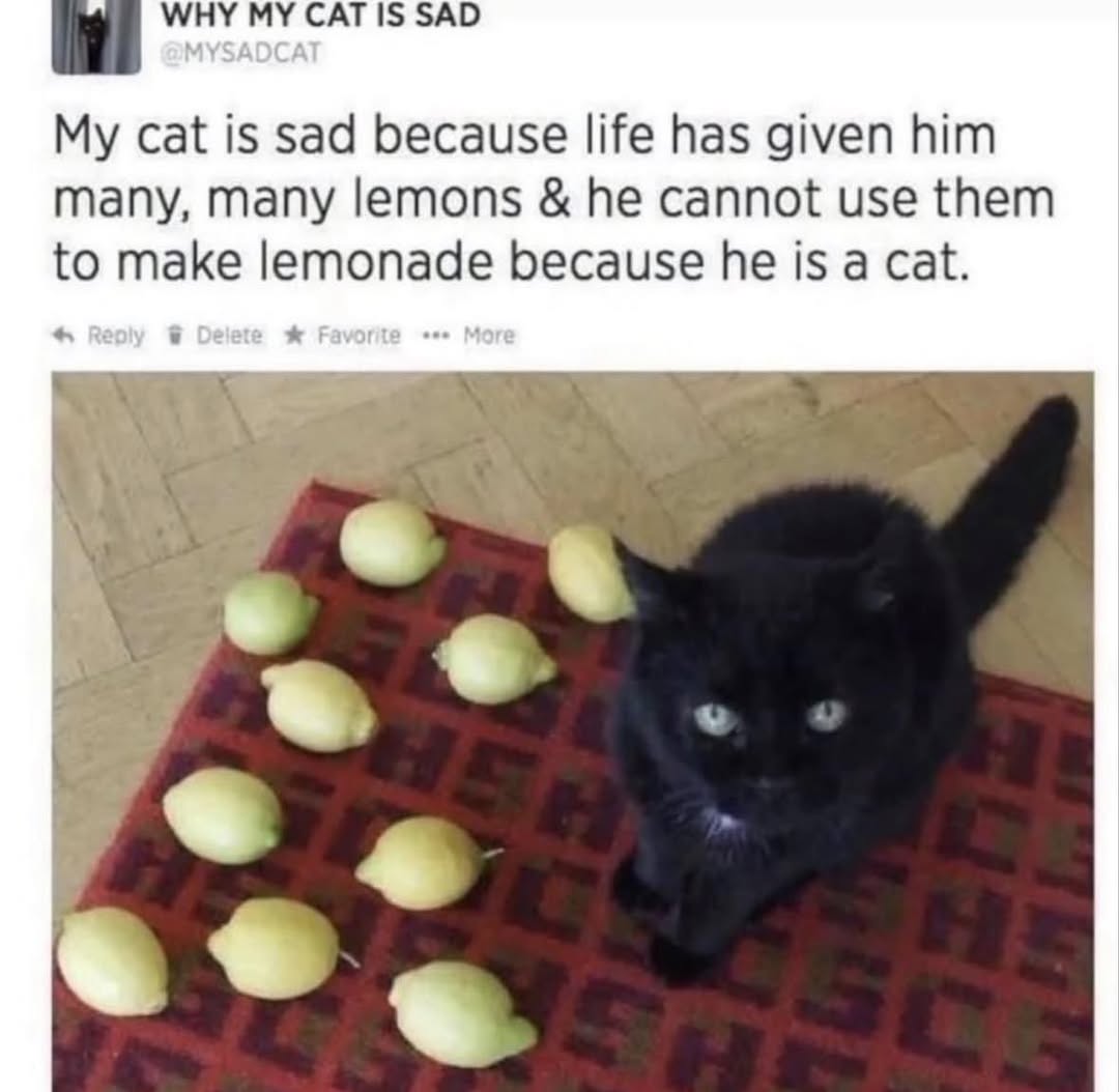 712545066_1587209536103793_6170349102818290290_n