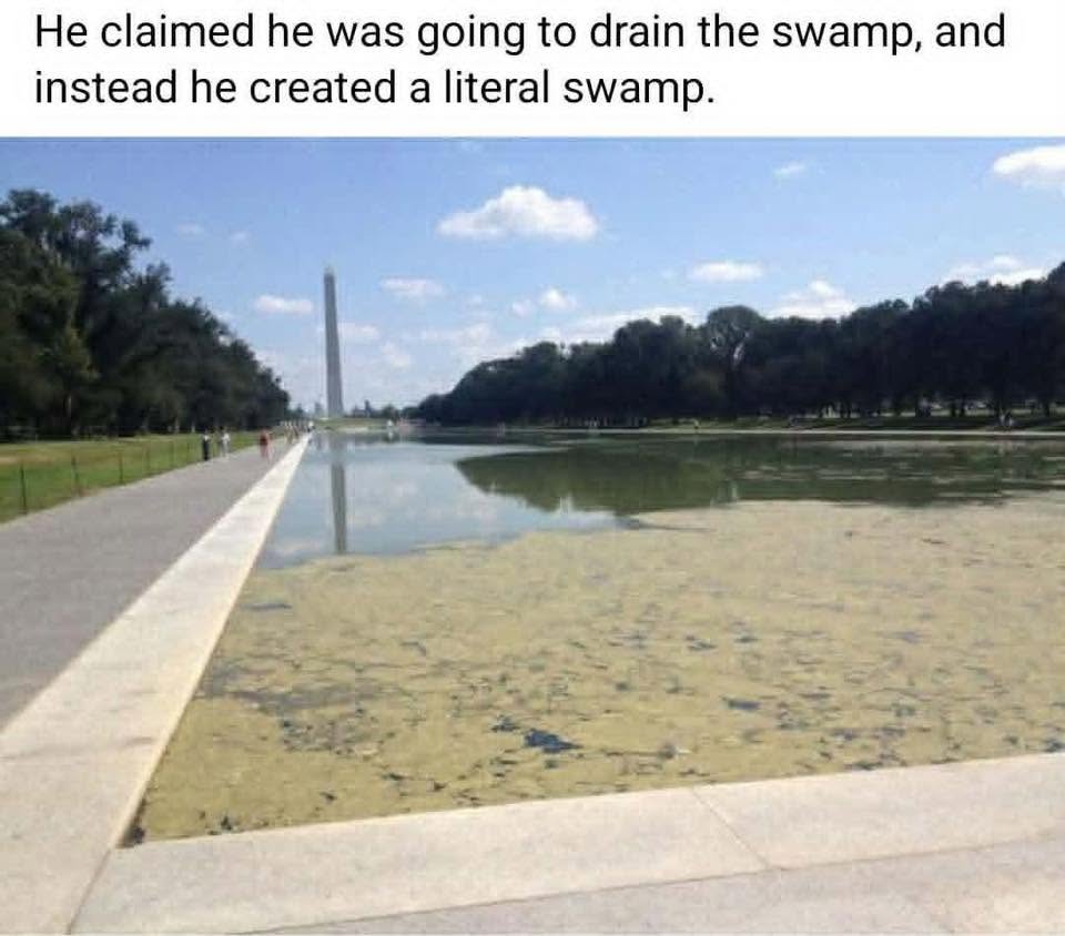 created-a-literal-swamp