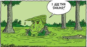 i-am-the-swamp